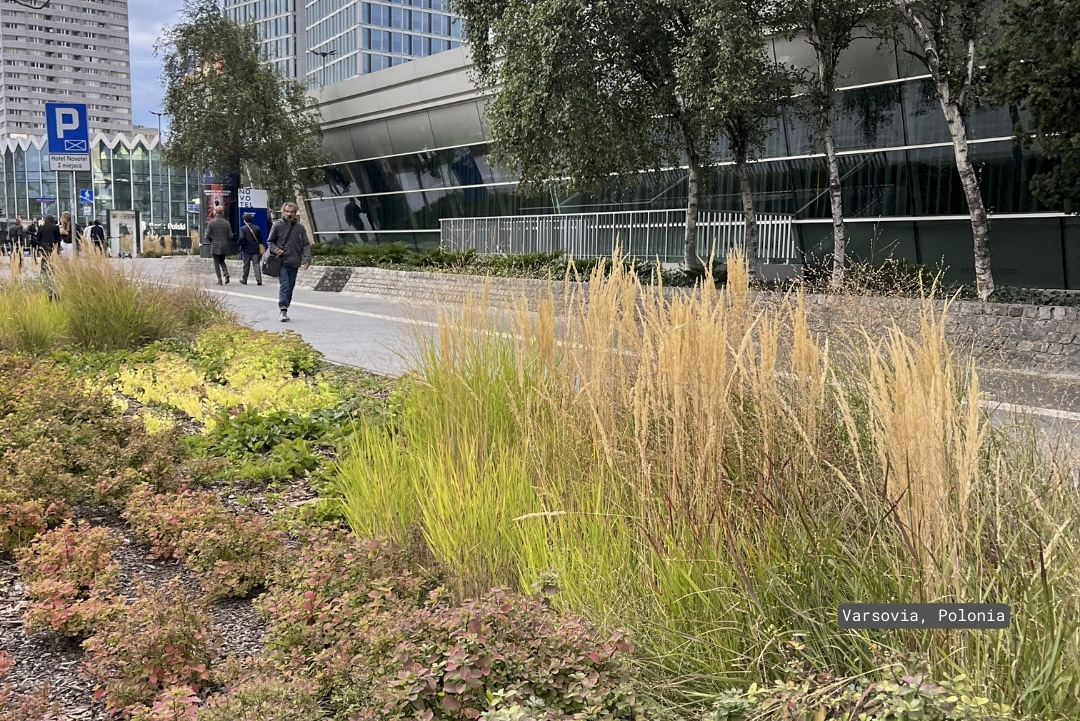 Paisaje urbano y biodiversidad: proyectos en Uruguay en diálogo con tendencias globales