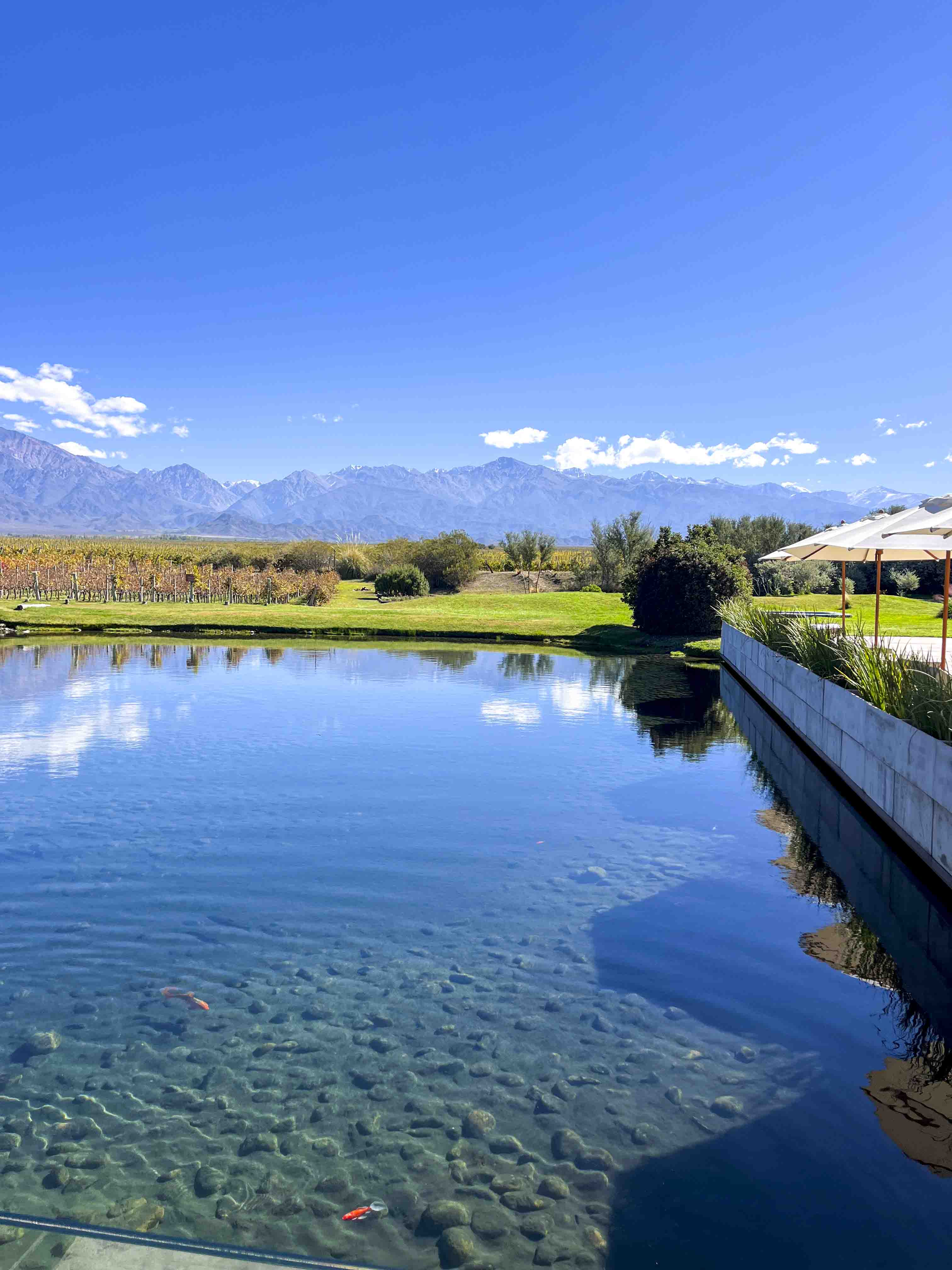 MENDOZA: JARDINES, PAISAJISMO, ARQUITECTURA Y ARTE 
