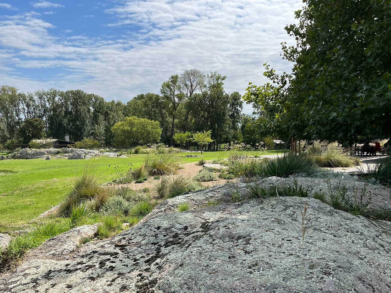 TANDIL, PAISAJSMO DE CAMPO