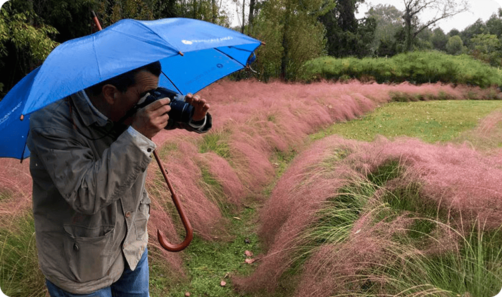 Proyecto de paisajismo